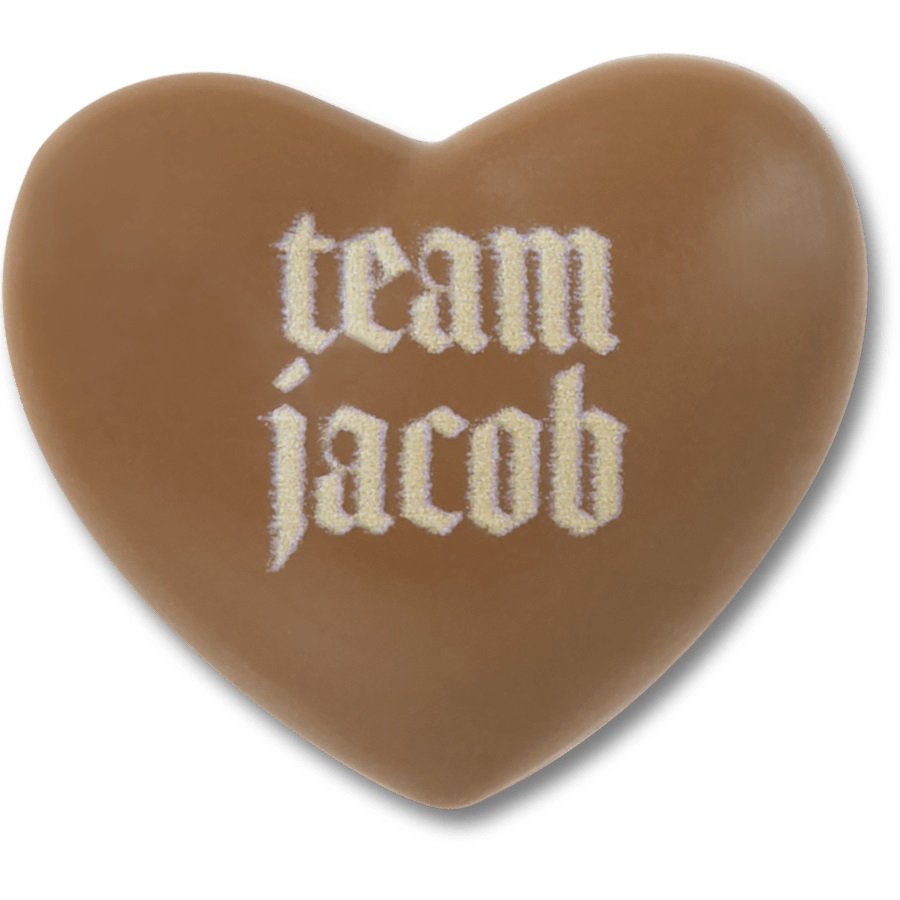 The Twilight Saga Team Jacob